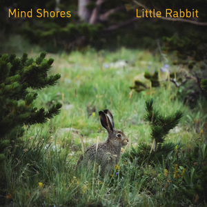 坤坤寒进桃子里在线看歌词动漫
