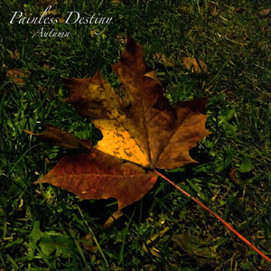 坤坤寒进桃子里在线看歌词动漫
